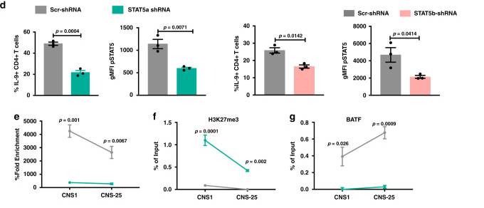 STAT5 and BATF Promote Chromatin Accessibility in Helper T Cells